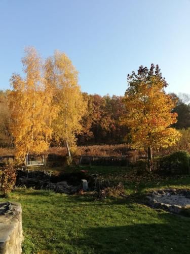 Outdoor Pictures 12