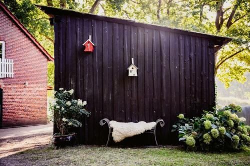 Outdoor Pictures 4