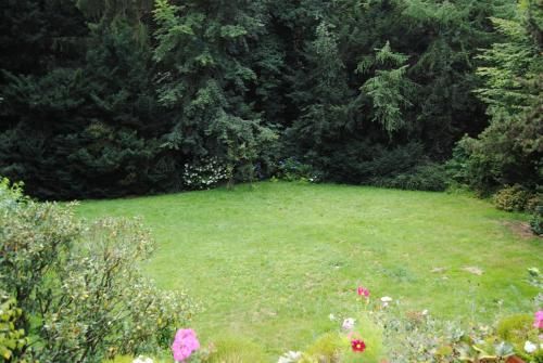 Outdoor Pictures 14