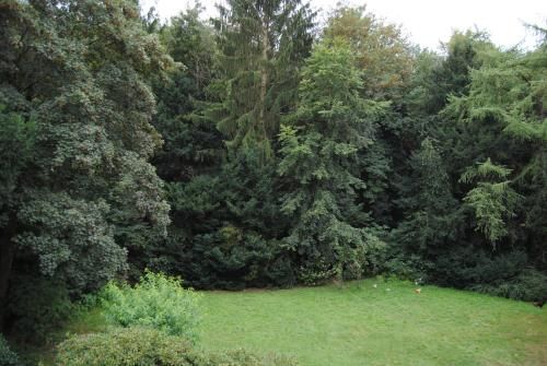 Outdoor Pictures 21