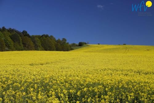 Outdoor Pictures 21