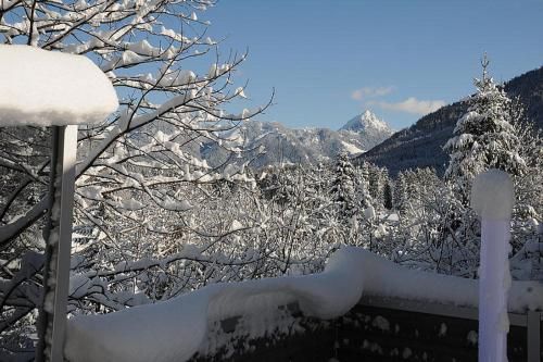Outdoor Pictures 15