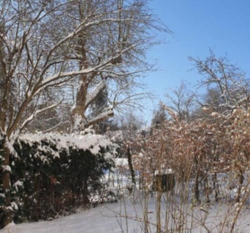 Outdoor Pictures 1