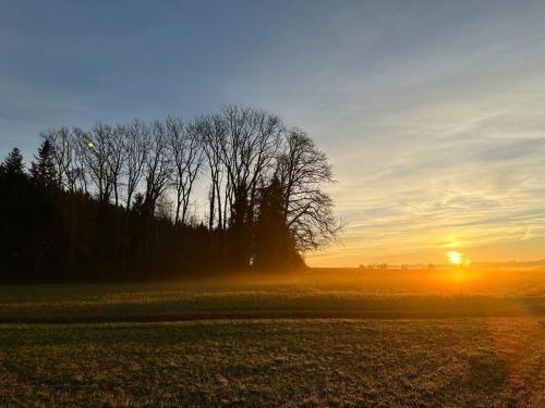 Outdoor Pictures 11