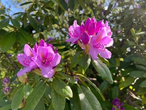 Outdoor Pictures 7