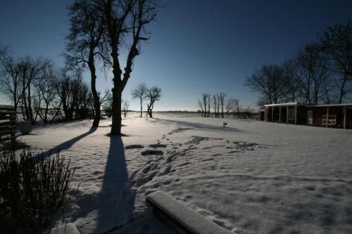 Outdoor Pictures 5