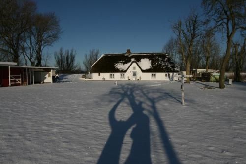 Outdoor Pictures 6