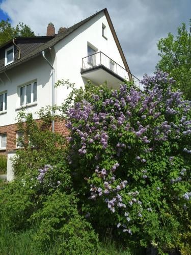 Outdoor Pictures 1