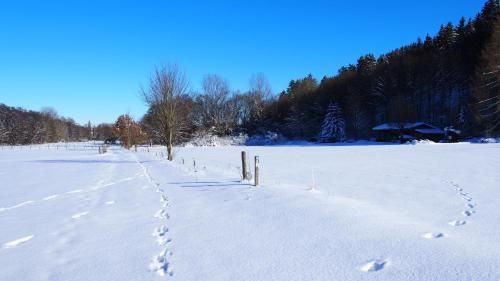 Outdoor Pictures 11