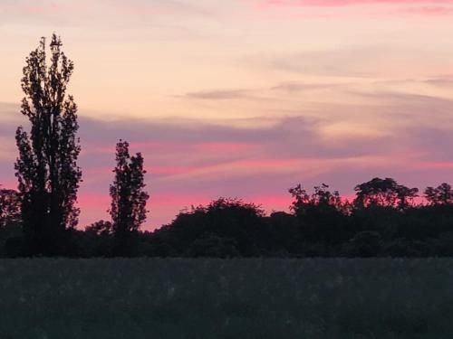 Outdoor Pictures 15