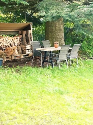 Outdoor Pictures 15