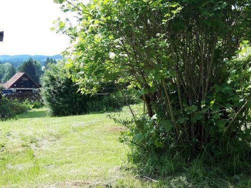 Outdoor Pictures 16