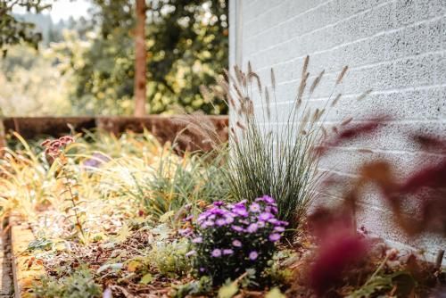 Outdoor Pictures 10