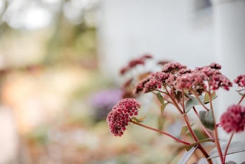Outdoor Pictures 12