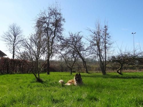 Outdoor Pictures 17