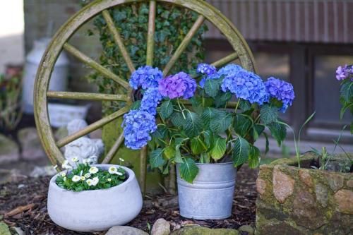 Outdoor Pictures 6