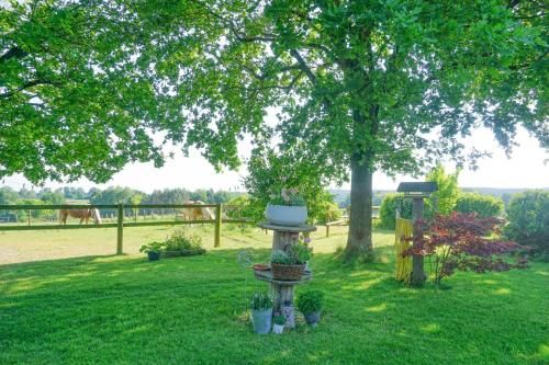 Outdoor Pictures 23