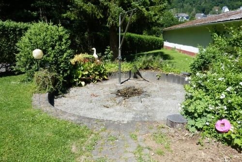 Outdoor Pictures 8