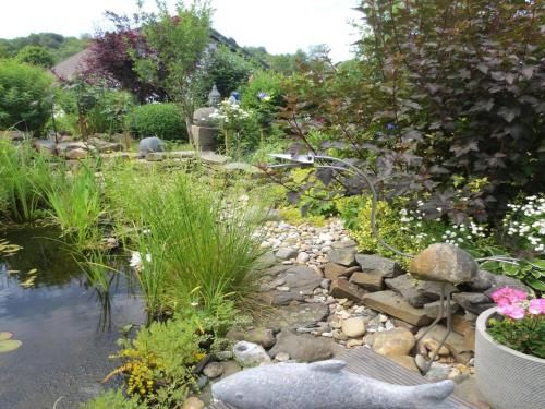 Outdoor Pictures 10