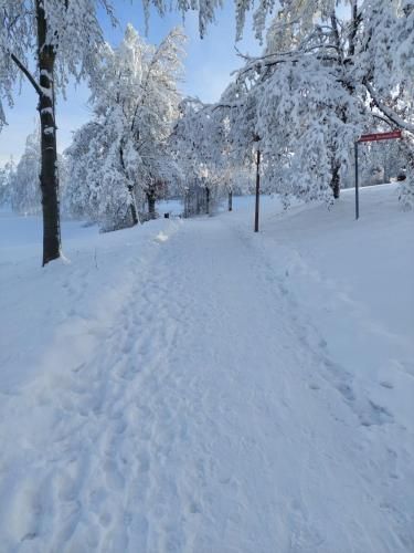 Outdoor Pictures 15