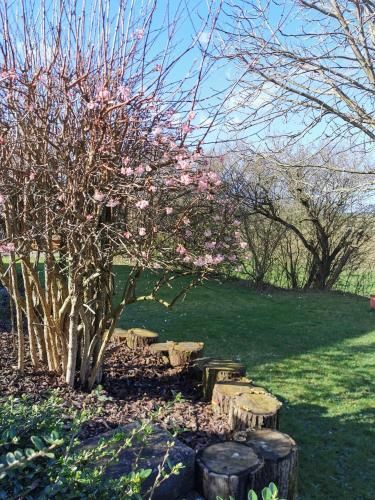 Outdoor Pictures 15