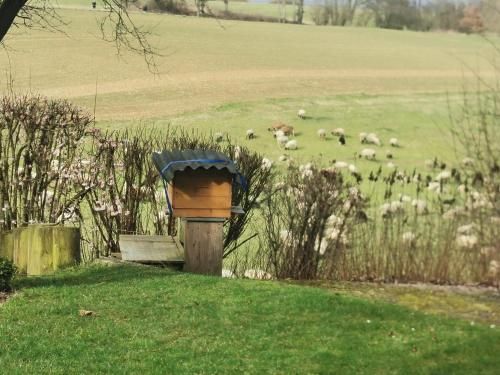 Outdoor Pictures 21