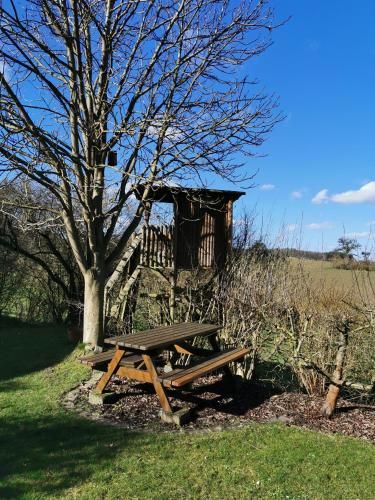 Outdoor Pictures 22
