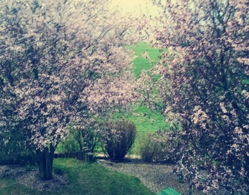 Outdoor Pictures 5