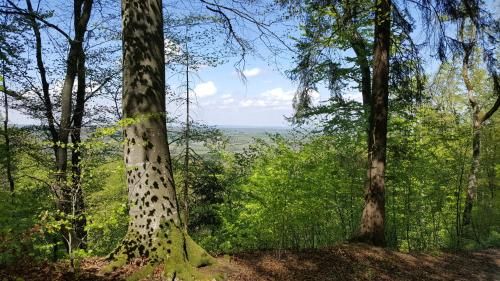 Outdoor Pictures 23
