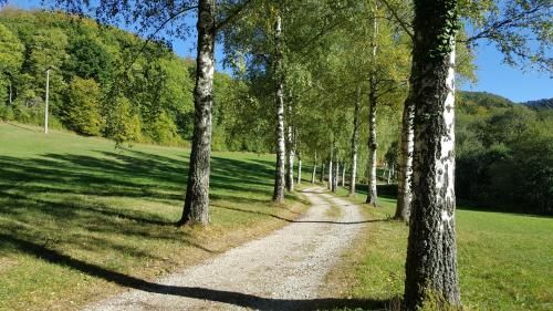 Outdoor Pictures 24