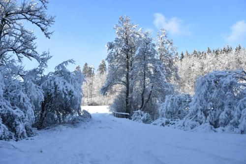 Outdoor Pictures 18