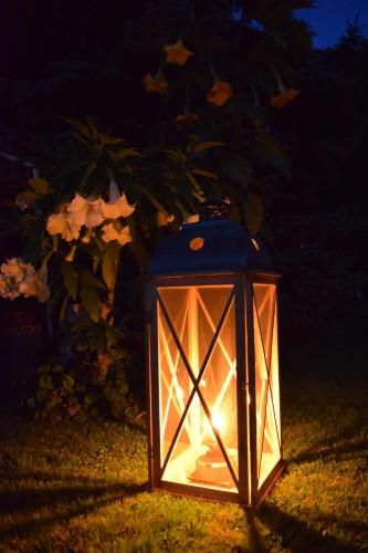 Outdoor Pictures 24