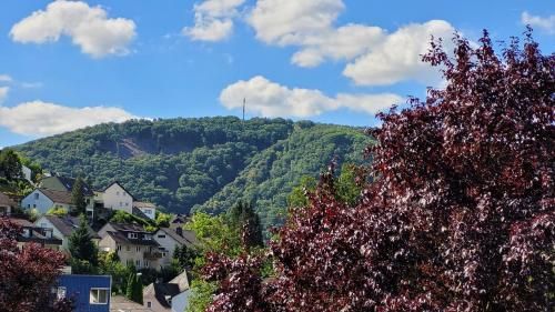 Outdoor Pictures 23