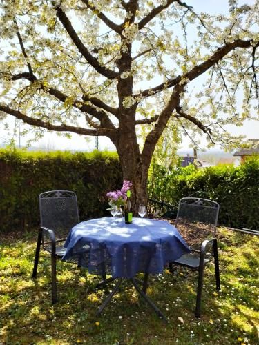 Outdoor Pictures 3