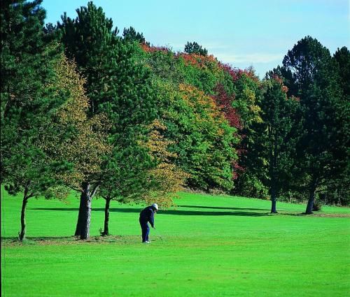 Outdoor Pictures 6