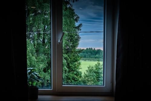 Outdoor Pictures 24