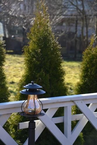 Outdoor Pictures 18