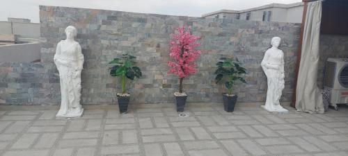 Outdoor Pictures 6