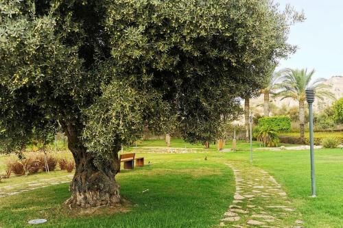 Outdoor Pictures 19