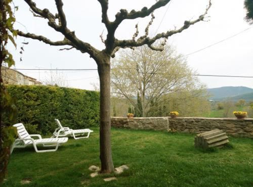 Outdoor Pictures 3
