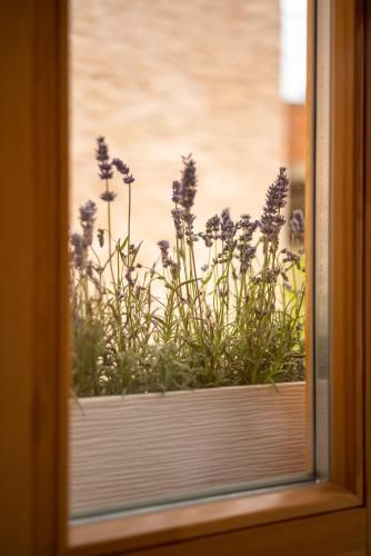 Outdoor Pictures 22