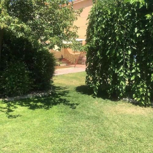 Outdoor Pictures 7