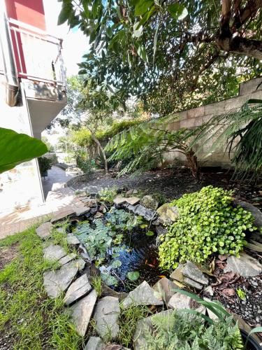 Outdoor Pictures 5