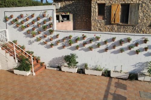 La casa dels Boscos
