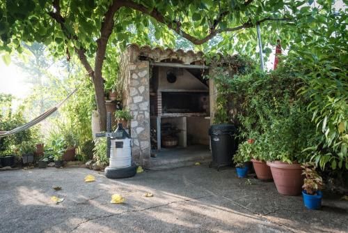 Outdoor Pictures 7