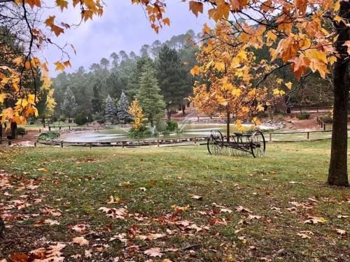 Outdoor Pictures 22