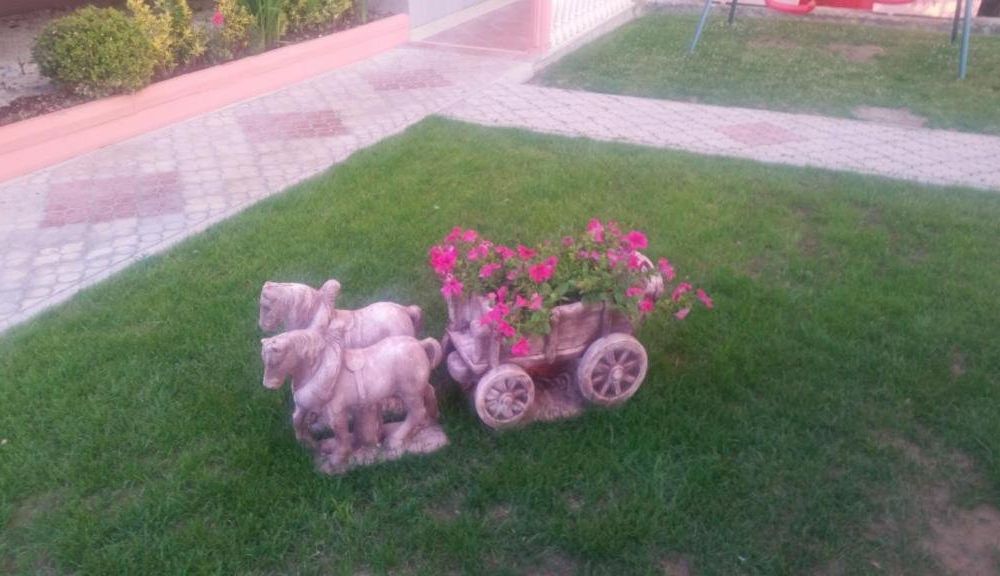 Outdoor Pictures 11