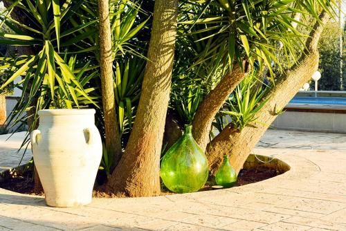 Outdoor Pictures 22