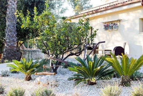 Outdoor Pictures 24