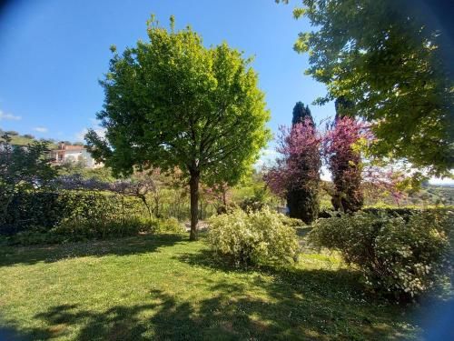 Outdoor Pictures 16